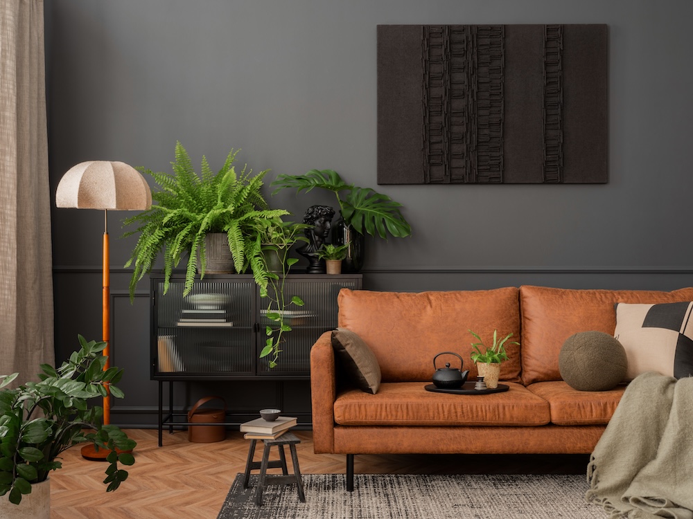 ciemny salon z wyrazistymi akcentami i roślinami salon z grafitową ścianą i pomarańczową sofą