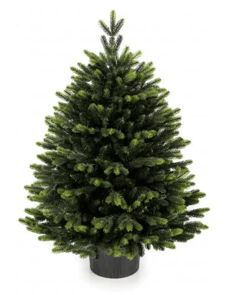 choinka sztuczna czy żywa  w doniczce