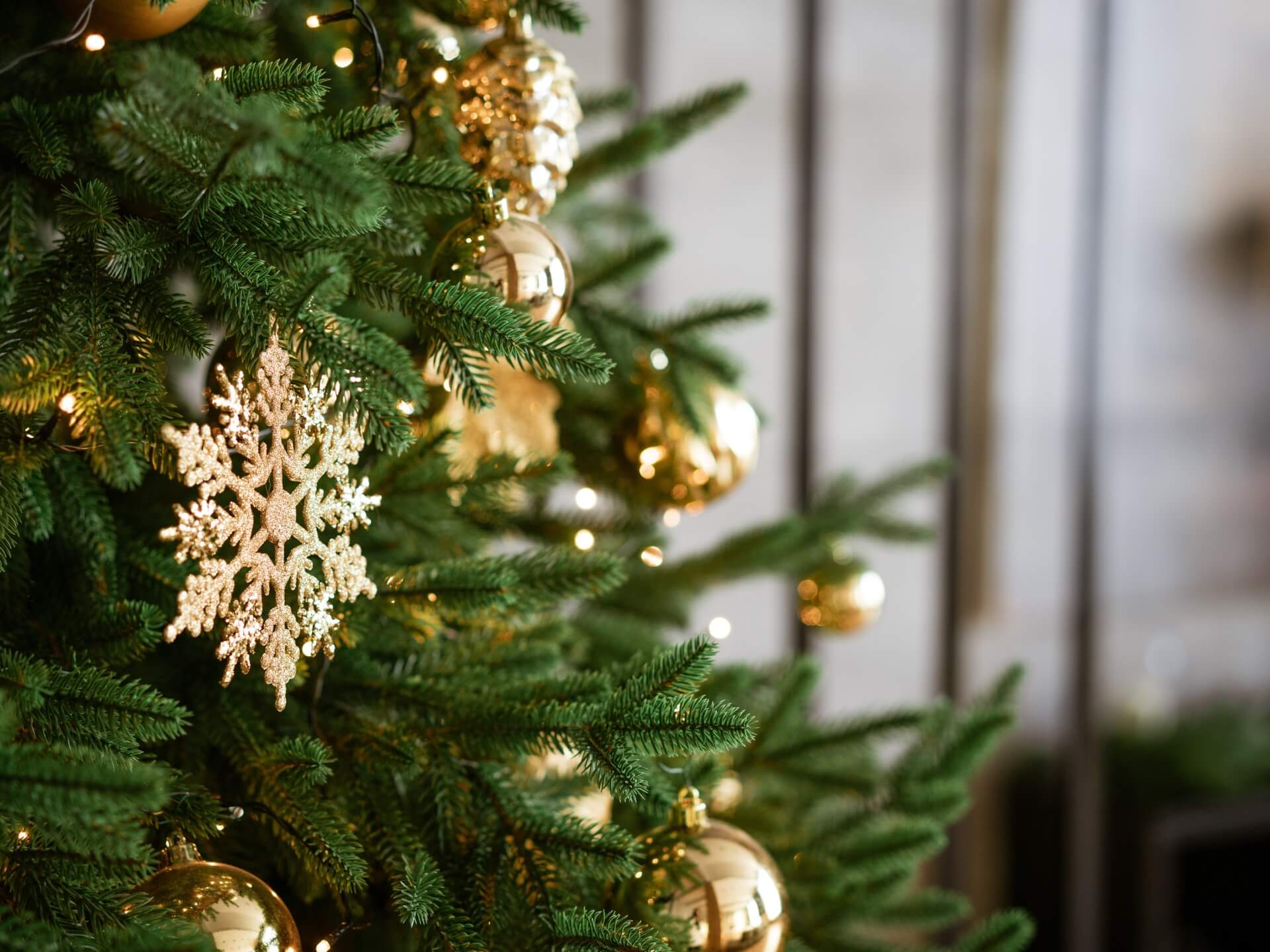Choinka sztuczna czy żywa – która z nich sprawdzi się lepiej?