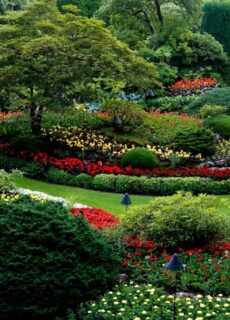 Jak dbać o poduszki tarasowe, żeby służyły kilka sezonów