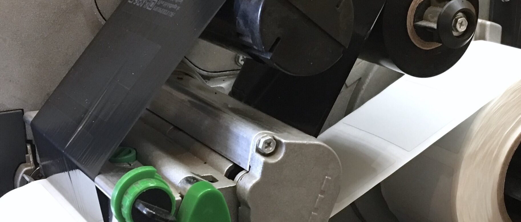 Z czego słynie firma Phrozen?